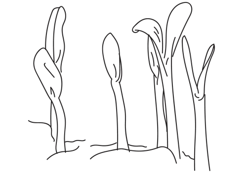 drawing20