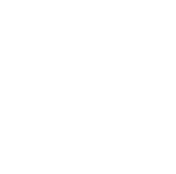 PostNL Logo Wit RGB (1)