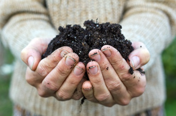Hands filled with soil